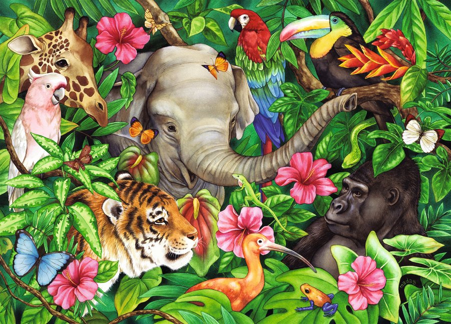 Ravensburger Amis tropicaux, Jane Maday