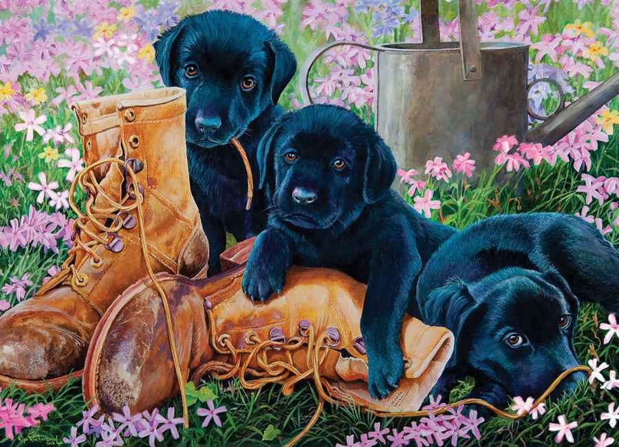 Trouble in the Garden