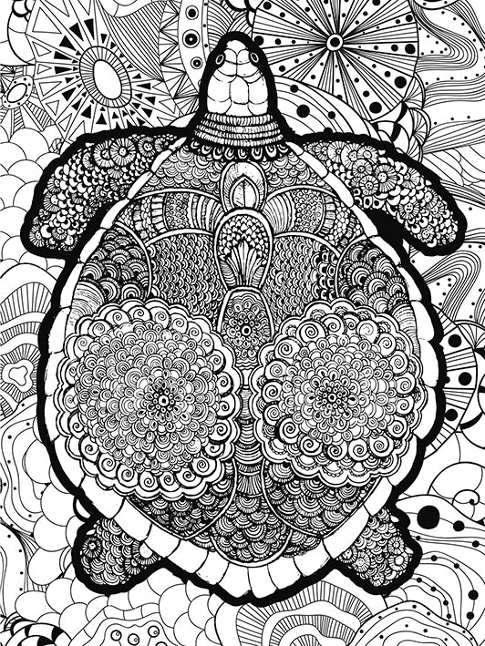 Coloring Puzzle - Turtle