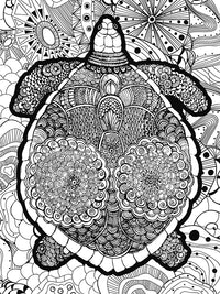 Puzzle de coloration - tortue
