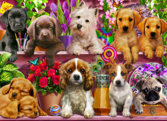 Puppies Galore, Adrian Chesterman