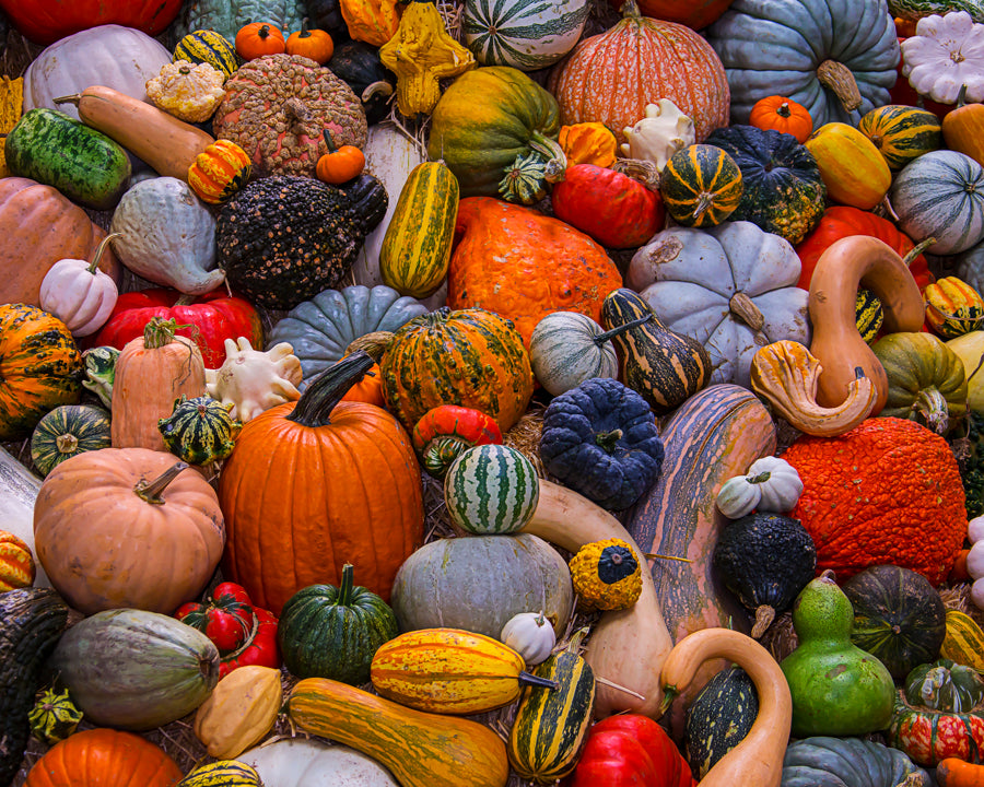 Récolte d'automne - JigsawJungle.com