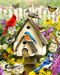 Oiseaux d'arrière-cour