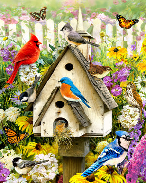 Backyard Birds