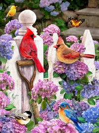 Cardinals & Friends