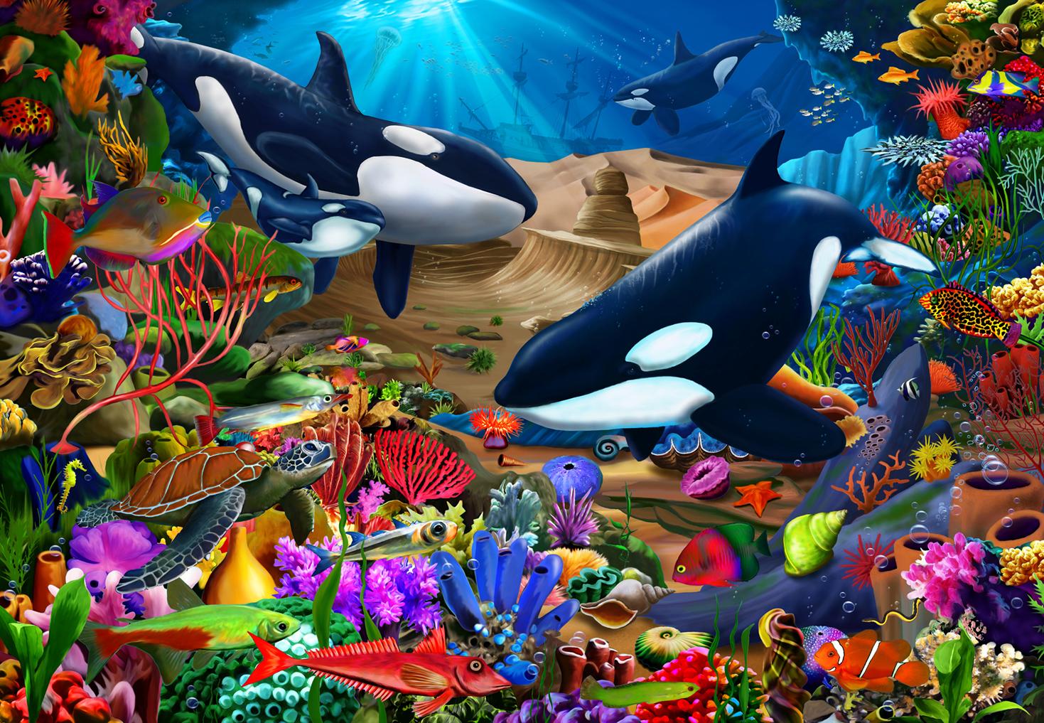 Wondrous Ocean