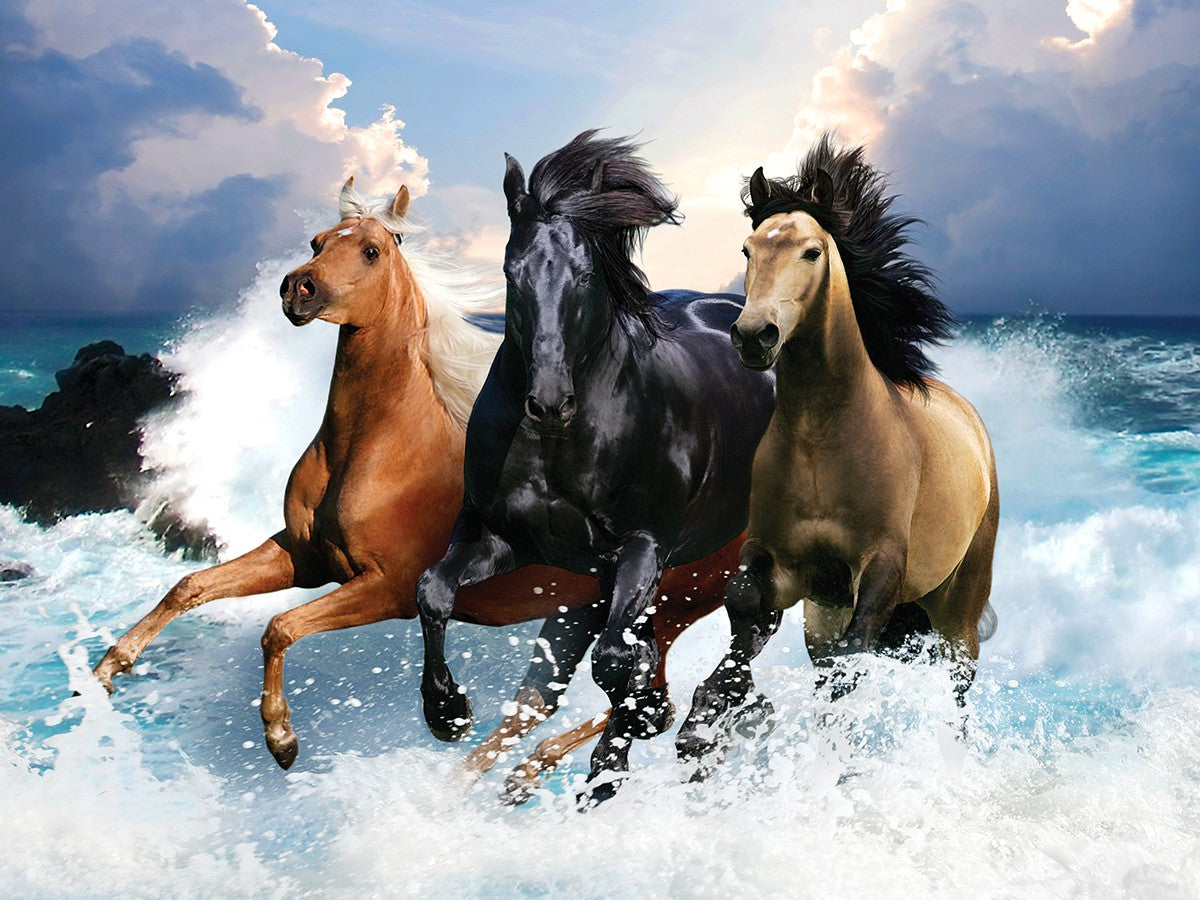 Coureurs de vagues