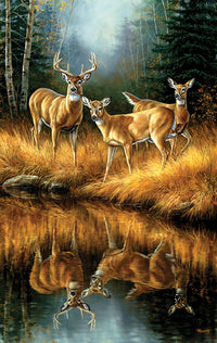 Whitetail Reflections, Rosemary Millette