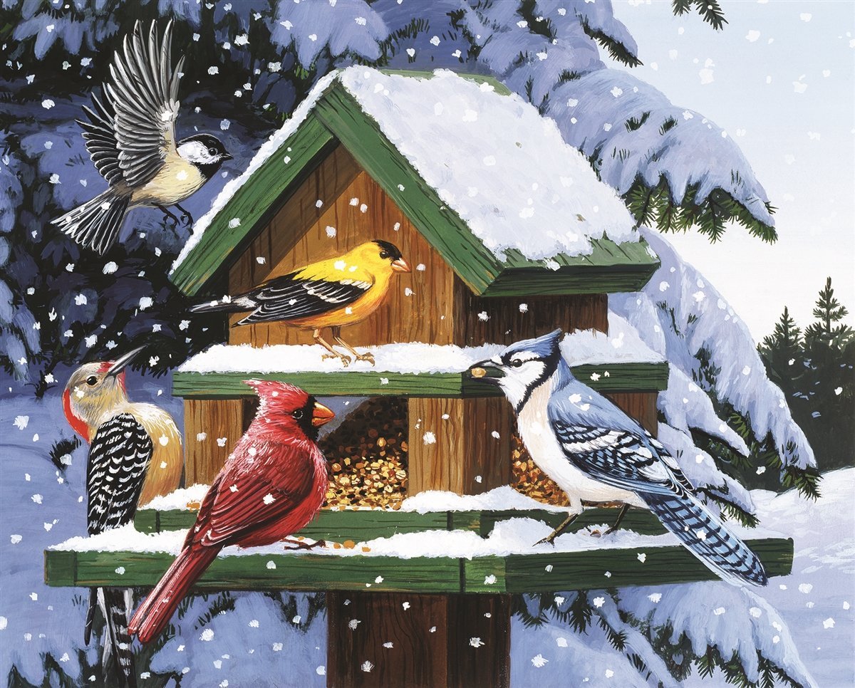Winter Feeder, William Vanderdasson
