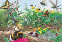 Découvrez le monde des insectes, Werbepool Hartmann