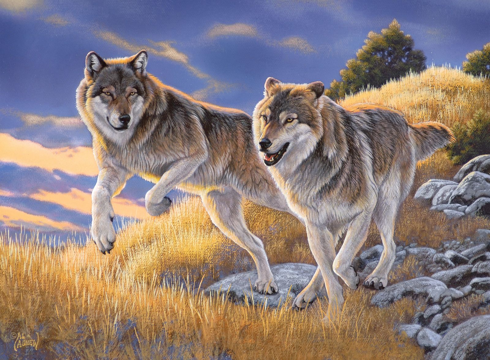 The Wolves, Al Agnew