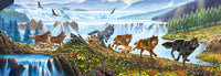 Wolves on the Run, Steve Crisp (Panorama)