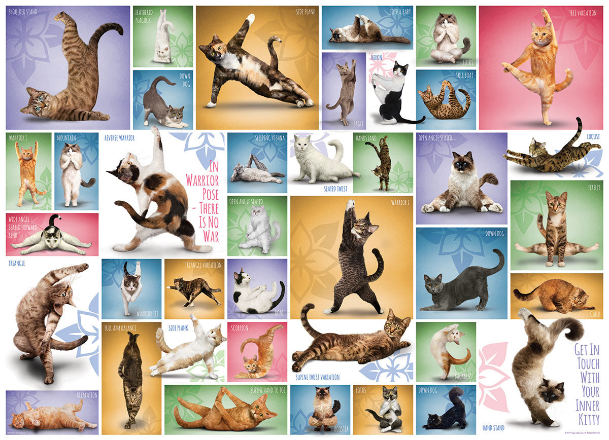 Yoga Cats, Get in Touch With Your Inner Kitty