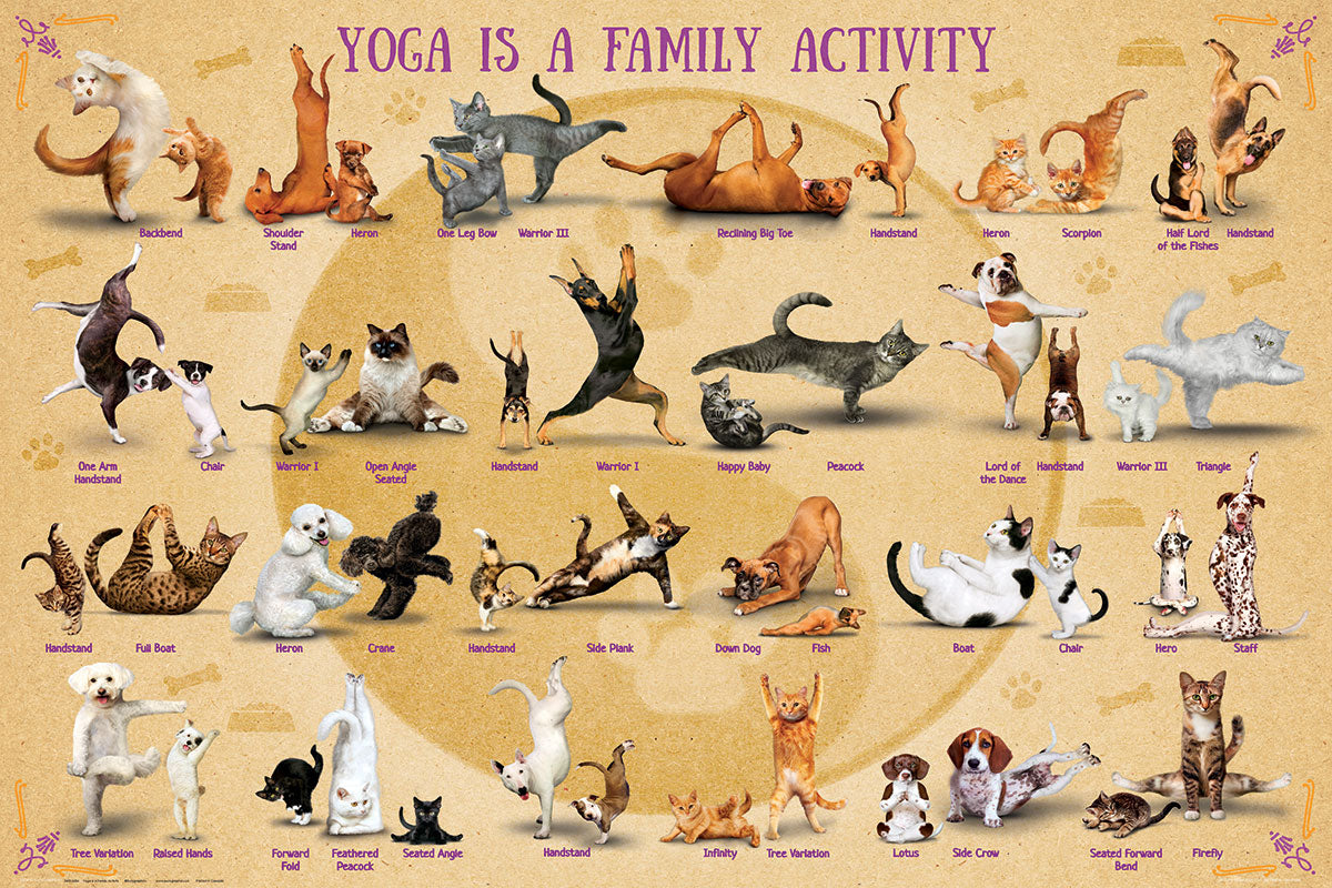 Yoga is a Family Activity - Yoga Cats & Yoga Dogs (500XLpcs)