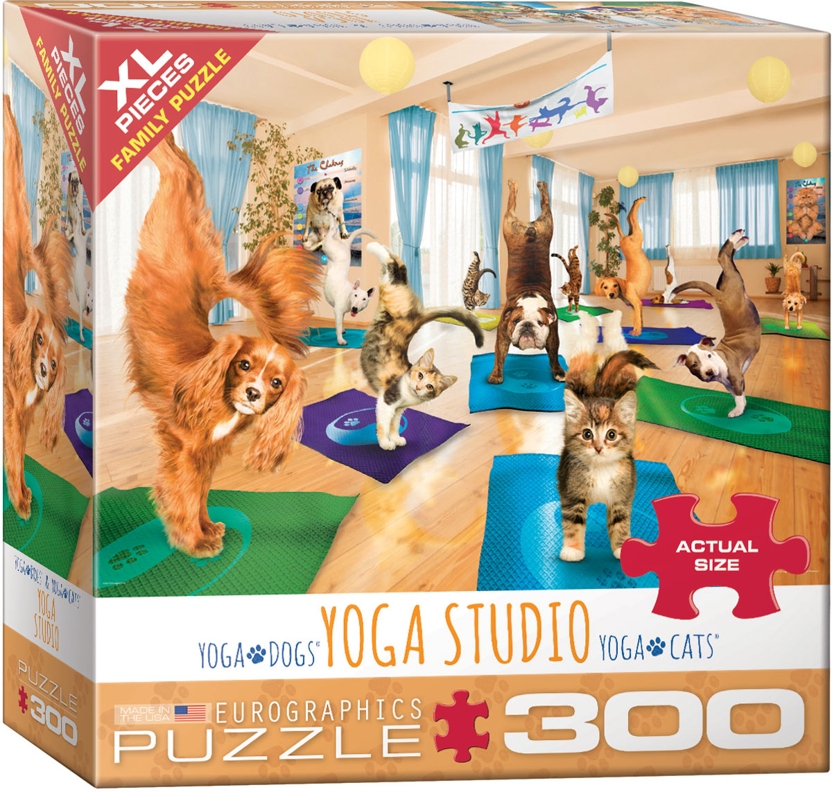 Yoga Studio (300XLpcs)