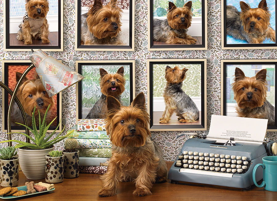 Yorkies Are My Type, Jo-Ann Richards