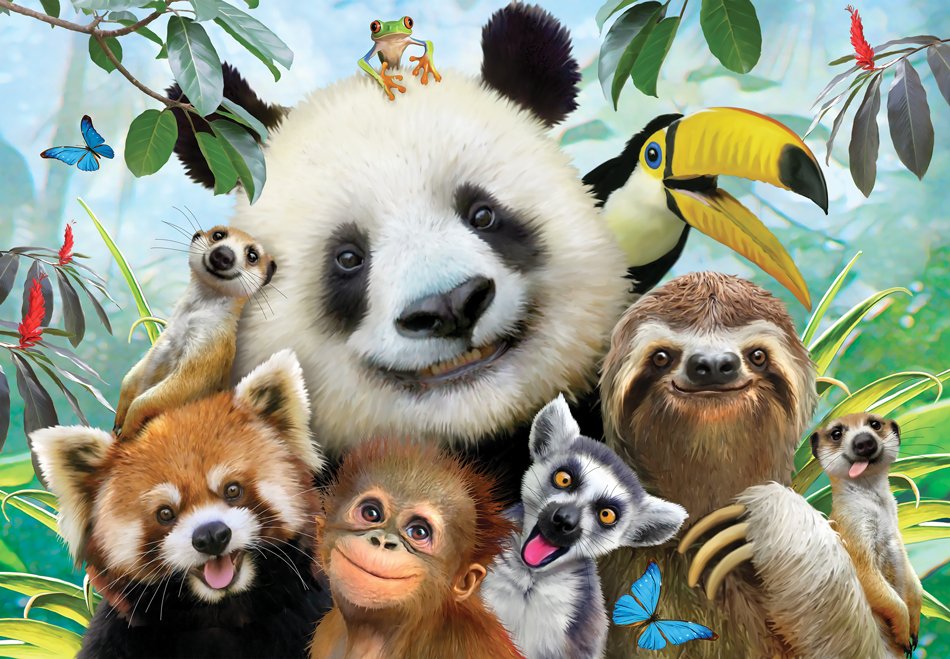 Zoo Selfie, Howard Robinson (500pcs)